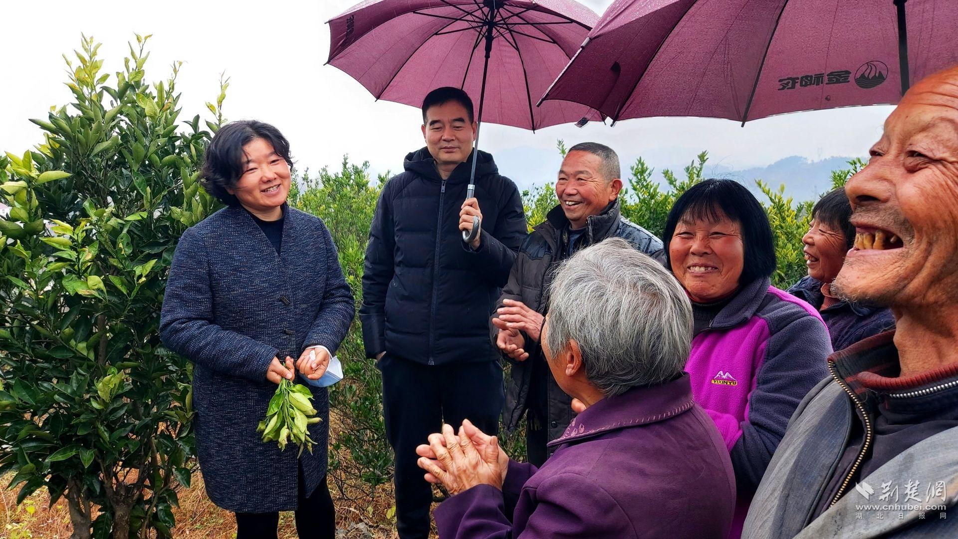 省农科院果树专家王志静（左一）在柑橘园为村民授课.jpg.jpg